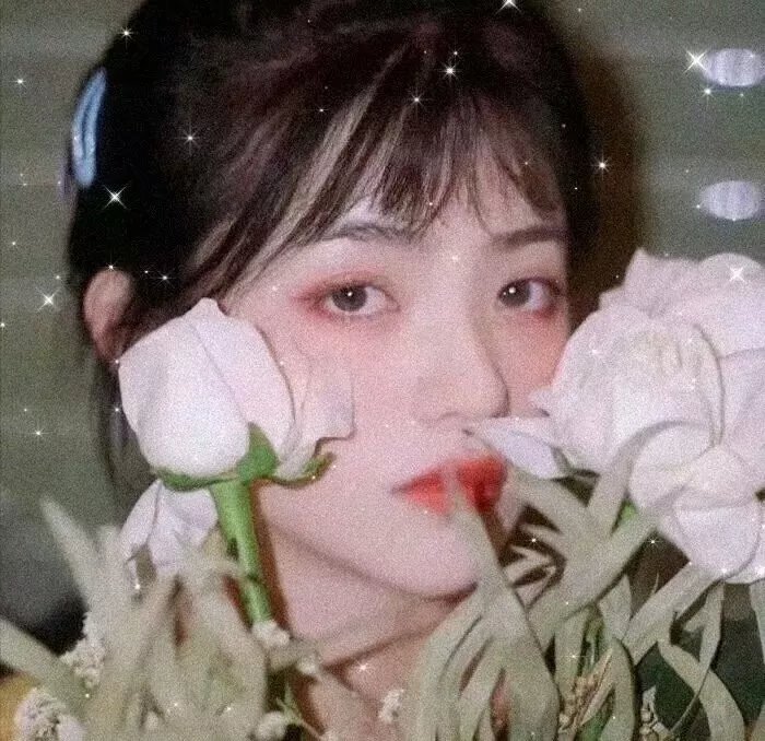 泷之白糸